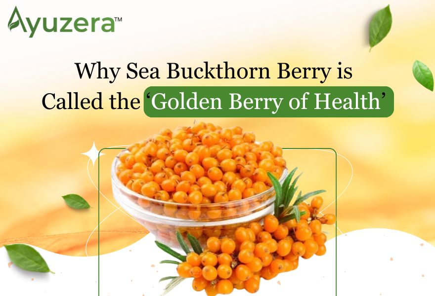 Sea buckthorn berry
